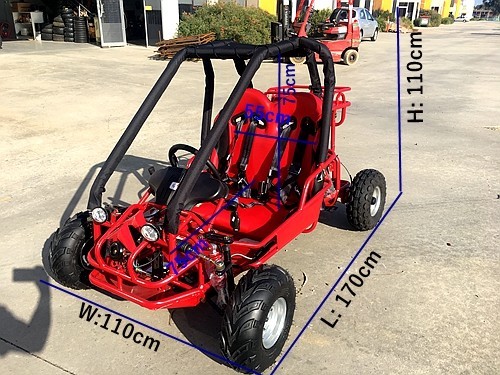 90cc Offroad Dune Buggy Quad ATV Teen Twin Seat Gokart Kids  Under 12yrs 110/125