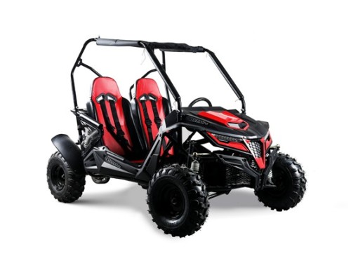 208CC 7.5HPDune Buggy UTV ATV Sport Quad Dirt Bike 4 Wheel Go kart Auto FORZA 3