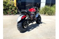 MB200 TrailMaster Hurricane 200X Mini Bike Coleman Full sized Kids Adults Bike RED