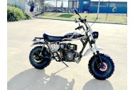 MB200X TrailMaster Hurricane Mini Bike Coleman Full sized REC-REG E-start BLACK
