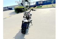 MB200X TrailMaster Hurricane Mini Bike Coleman Full sized REC-REG E-start RED