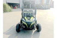 FORZA 1 K1 Dune Buggy 163CC 5.5HP Off Road UTV ATV 2 Seater 4 Wheel Go kart REV Green